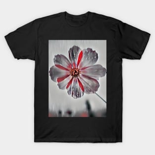 🌼 Red & White Daisy Flower Close-Up on White Background 🌸 | Vibrant Floral Beauty 💫✨ T-Shirt